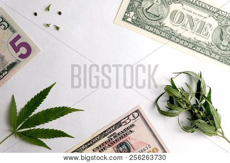 Parts Of Small Us Bills, Leaves And Grains Of Marijuana On A White Background. A Frame With Free Spa
