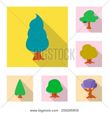 Vector Design Of Tree And Nature Icon. Collection Of Tree And Crown Stock Vector Illustration.