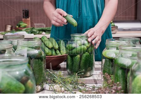Women's Hands Put Cucumbers In A Can For Canning