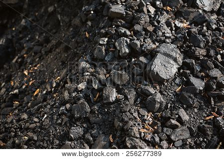 Natural Black Coals For Background. Industrial Coals