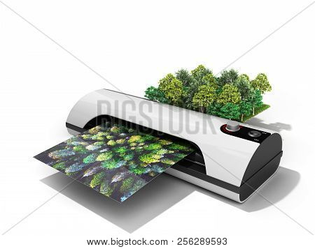 Modern High Resolution Wide Format Printing Concept The Real Forest Is Transformed Into An Image Pas