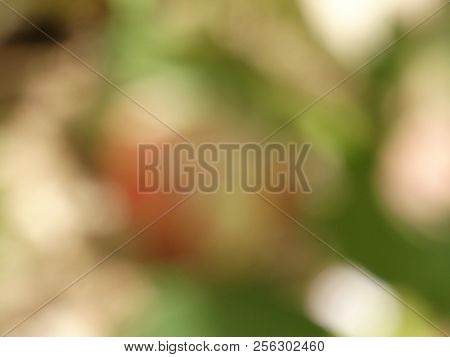 Abstract Universal Blurred Background Containing Green, Red, Gray, White Colors, Suitable As A Basis