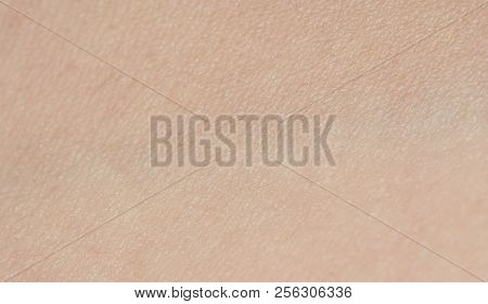 Caucasian Human Clean Skin Texture Macro Close Up