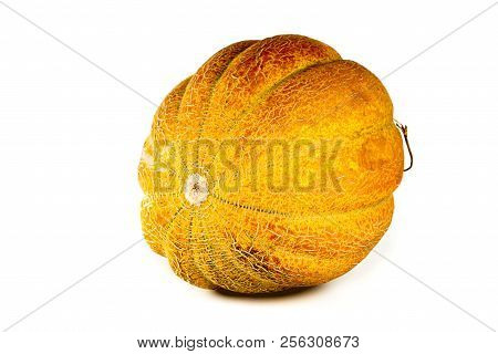 Melon Isolated On White Background. Copy Space For Text