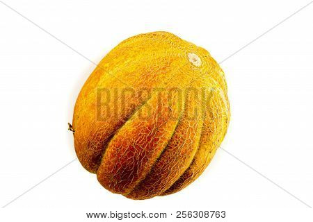 Melon Isolated On White Background. Copy Space For Text