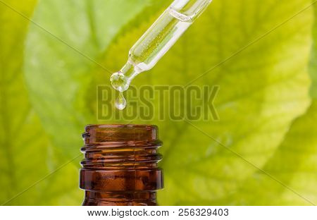 Dropper Over Essential Oil Bottle. Dropper With Brown Bottle And Green Background.