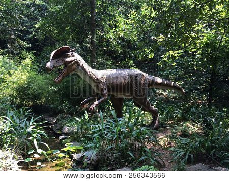 Dinosaur Theme Park In Changsha, China, Dinosaurs In The Woods