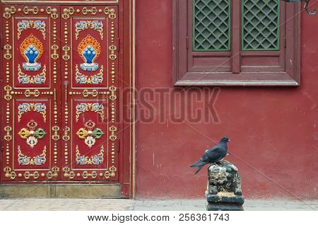Gandan Buddhist Monastery - Ulaanbaatar - Mongolia