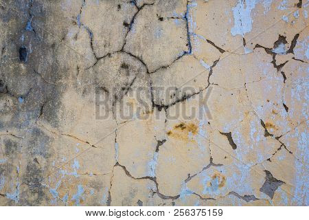 Mould Fungus Texture Detail Of Molding Interior, Old Wall Full Of Fungus, Damp Mouldy Abstract Backg