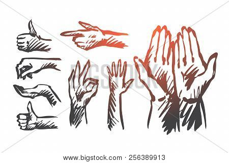 Hand, Palm, Human, Finger, Gesture Concept. Hand Drawn Isolated Vector.