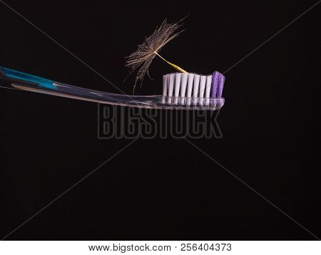 Beautiful Composition Of Plastic Tooth Brush With Dry Dandelion Flower Seed On The Black Background,