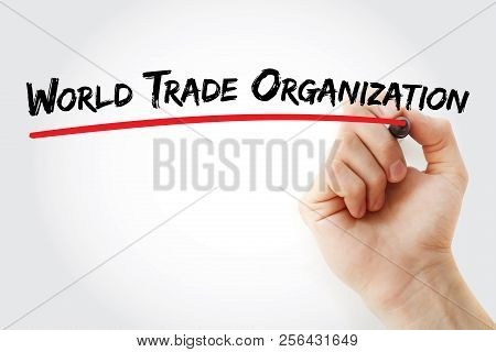 Wto - World Trade Organization Acronym, Business Concept Background