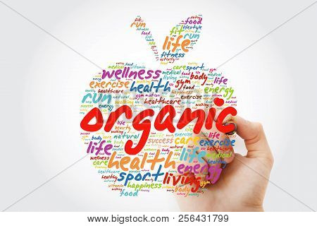 Organic Apple Word Cloud With Marker, Health Concept Background
