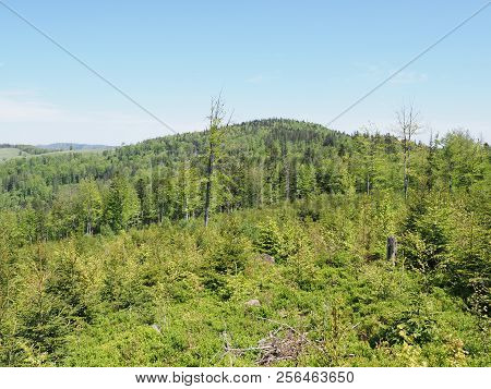 Nice Salmopol Pass Near Kotarz Mount In Silesian Beskids Mountains Range Landscapes Above European C