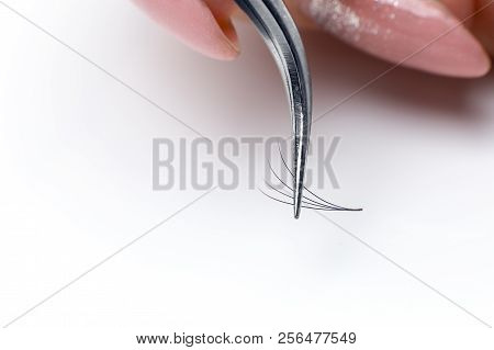 Closeup Eyelash Extension Tweezers Tools On White Background. Artificial Lashes 4d.