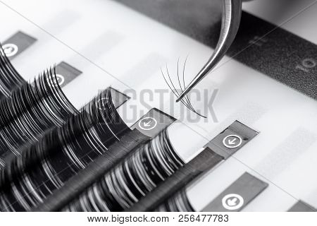 Set Eyelash Extension Tools White Isolated Background