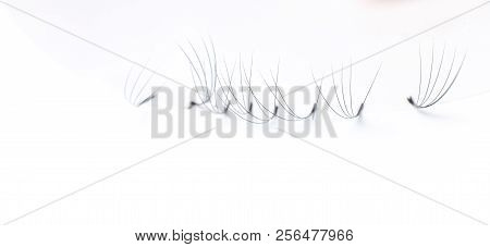 Set Artificial Lashes White Isolated Background, Eyelash Extension.