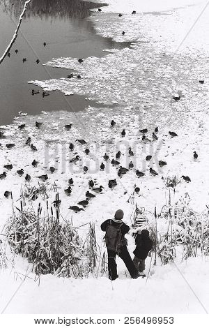 Father And Son Feed Ducks On The Bank Of A River Or Lake In Winter, Black And White