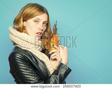 Woman With Autumn Leaves In Leather Jacket And Scarf On Blue Background, Copy Space