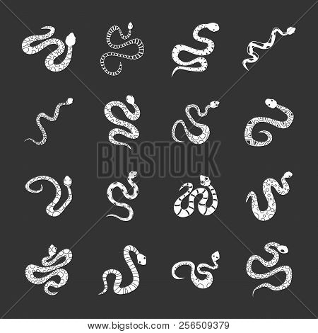 Snake Icons Set White Isolated On Grey Background
