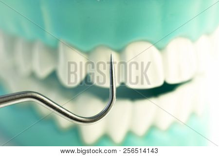 Dentist Cleaning Teeth