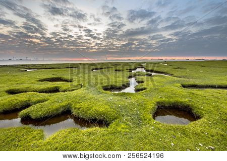 Erosion Holes In The Tidal Marsh Grassland Of Dollard At The Punt Van Reide In The Waddensea Area On
