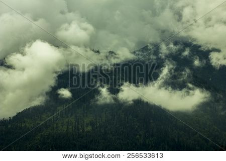 Fog And Clouds In Mountain And Forest