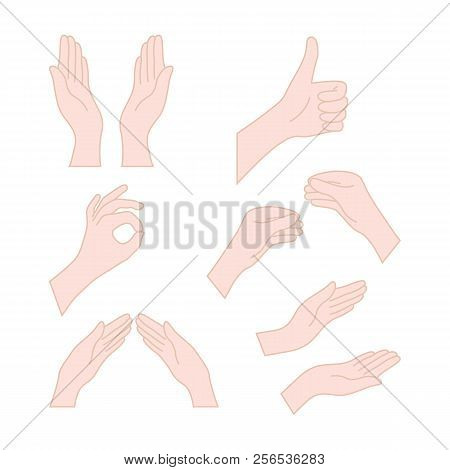 Thin Line Drawing Flesh Color Hands. Concept Of Religion Symbol, Gesturing Set, Applause, Harmony, L