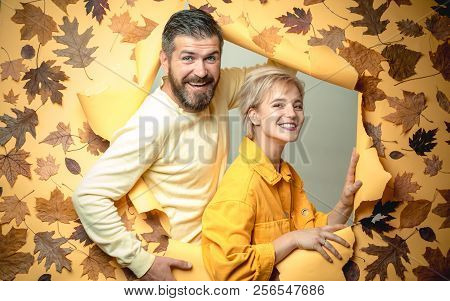 Romance Romantic. Autumn Tree And Autumn Forest. Black Friday Shopping. Copy Space For Text. Copy Sp