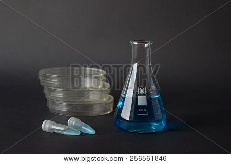 Petri Dishes, Erlemnmeyer Flask And Eppendorf Tubes With Blue Liquids Isolated On Dark Background.