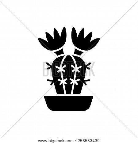 Vector Illustration Of Blooming Notocactus In The Pot. Desert Plant For Terrarium And Rock Garden. F