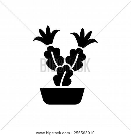 Vector Illustration Of Blooming Holiday Cactus In The Pot. Desert Plant For Terrarium And Rock Garde