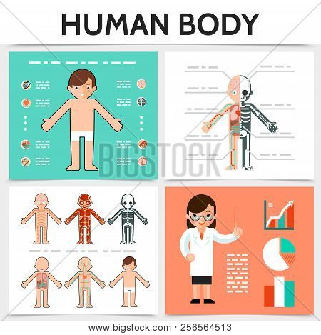 Flat Human Anatomy Square Concept With Internal Organs Skeletal Resperatory Muscular Circulatory Ner