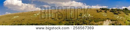 The Fovant Badges Are A Set Of Regimental Badges Cut Into A Chalk Hill, Fovant Down, Near Fovant, In