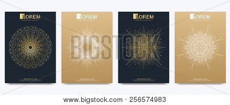 Modern Vector Template For Brochure Leaflet Flyer Cover Catalog Magazine Or Annual Report. Golden La