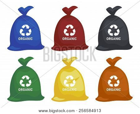 Bag With Garbage. Trash In Garbage Packages With Sorted Garbage Vector Icons. Recycling Garbage Sepa