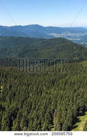 Amazing Landscape Of Rhodope Mountains From Snezhanka Tower Near Ski Resort Pamporovo, Smolyan Regio