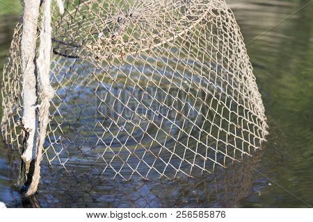 Fishing-crib In The River On A Summer Sunny Day