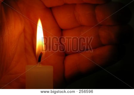 Dsc_0521flame