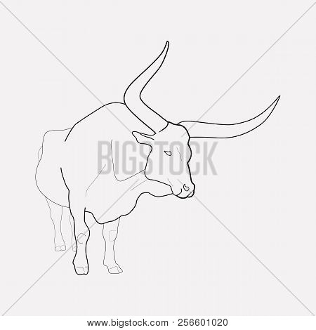 Ox Icon Line Element.  Illustration Of Ox Icon Line Isolated On Clean Background For Your Web Mobile