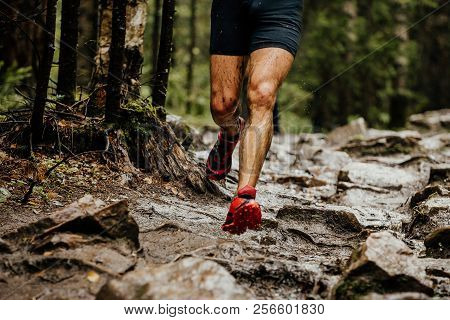Wet Feet Runner Athlete Running On Trail Stones In Forest
