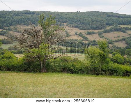 View On The French Countryside From The Village Of Blanot, France