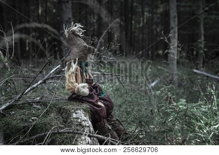 Scary Toy, Sitting Alone On A Dead Tree Trunk, In A Dark Forest. A Design Or Context For A Halloween