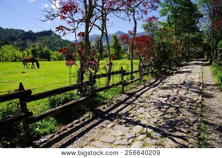 Andes Mountains landscape in Jardin, Antioquia, Colombia, South America