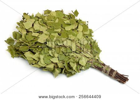 Dry birch broom isolated on white