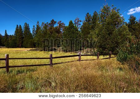 Rustic Wooden Fence Surrounding Ranchlands With Rural Grasslands And A Pine Forest Taken In Big Bear