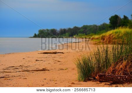 Grass And Dunes At Ipperwash Beach,  Lake Huron, Ontario