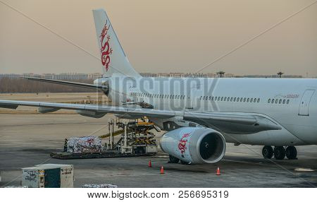 Passenger Airplane Docking At The Airport