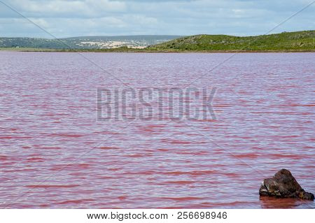 Hutt Lagoon Pink Lake - Western Australia
