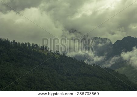 Heavy Cloud And Fog In The Mountains Forest